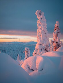 André Alexander, Ruka sunrise
