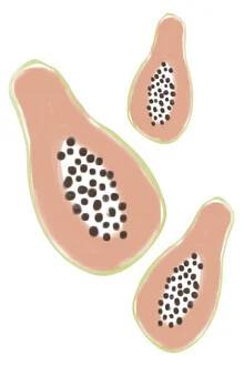 Wall art by Nikki Thaitanom: vibrant papaya in cheerful color style