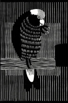 Illustration of a cockatoo in soft colors, conveying a calm atmosphere.