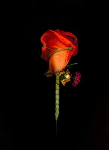 Photo art by Ramona Reimann: stylish depiction of a passionate fashion scene