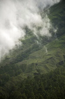 Photo art by Studio Na.hili: hiking through green landscapes and fog
