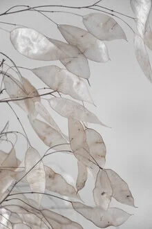 Photo art by Studio Na.hili: abstract branches from the forest, soft colors, calming atmosphere