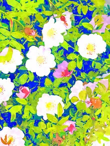 Wall art featuring colorful flowers in an eclectic style, vibrant and cheerful.