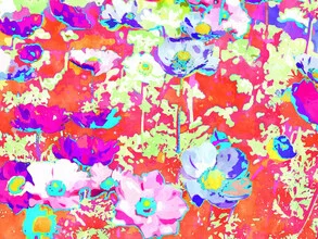 Colorful flowers arranged in a way that radiates summer vibes.
