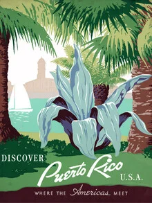 Illustration by Vintage Collection: journey to Puerto Rico with colorful tropical elements