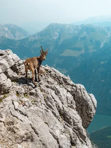 Fotokunst von Lukas Gleich: Kletterer in den Alpen, umgeben von majestätischen Bergen