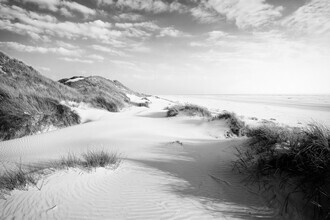 Oliver Henze, Dune beach on Amrum (Germany, Europe)