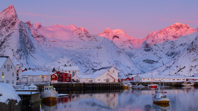 Boris Buschardt, Hamnøy