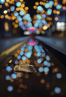 Patrick Noack, Reflected Bokeh (Germany, Europe)