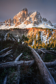 Patrick Noack, Goldenlight (Italy, Europe)