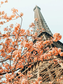 Uma Gokhale, Paris in Spring (Indien, Asien)