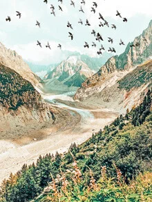 Photo art by Uma Gokhale: serene landscape with fog, mountains, and birds