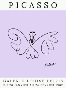 Art Classics, Picasso Butterfly – purple