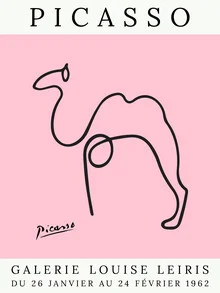 Illustration of a camel in soft pink and line styles