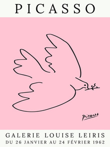 Art Classics, Picasso Dove – pink - France, Europe)
