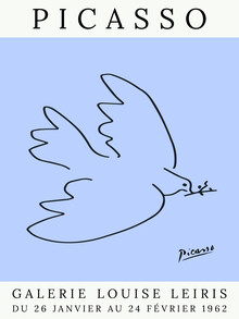 Art Classics, Picasso Dove – violet