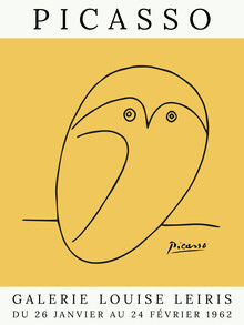 Art Classics, Picasso Owl – yellow - France, Europe)