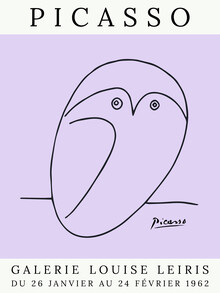 Art Classics, Picasso Owl – purple