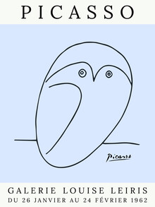 Art Classics, Picasso Owl – blue