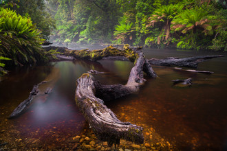 Boris Buschardt, Styx River - Australien, Australien und Ozeanien)