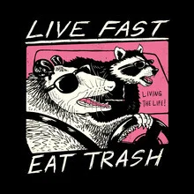 Wall art by Vincent Trinidad Art: nostalgic illustration of a raccoon.