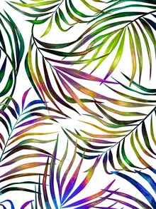Wall art by Uma Gokhale: tropical palm design in vibrant colors