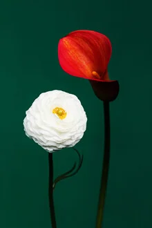Photo art by Manuela Deigert: delicate flowers and soft colors in a harmonious composition