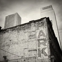 Photo art by Alexander Voss: black and white shot of a park in New York City