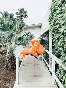 Wall art featuring a flamingo in front of a tropical beach house under a bright blue sky