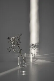 Photo art by Studio Na.hili: branch in a magical sunbeam with soft colors