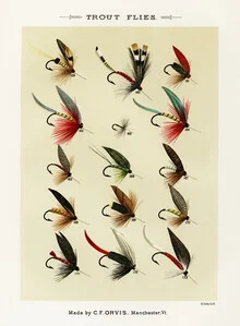 Wall art by Vintage Nature Graphics: detailed depiction of trout flies