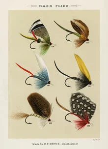 Wall art featuring flies by Mary Orvis Marbury: nostalgic illustration