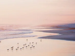 Wandbild von Thiago Quiuque: ruhiger Sommertag am Meer mit sanften Wellen und einem Vogel.