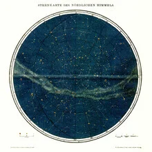 Illustration of a northern sky star map featuring fine details and gentle colors.