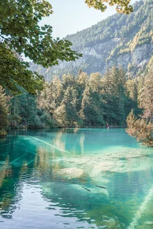 Fotokunst von Henrike Schenk: ruhiger Blausee in der Schweiz, umgeben von Bäumen.
