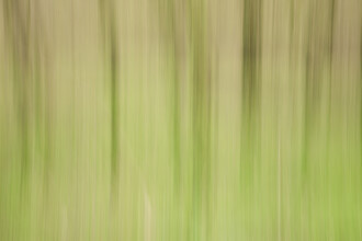 Nadja Jacke, blurred green (Germany, Europe)