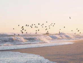 Fotokunst von Thiago Quiuque: Vogel über dem ruhigen Meer mit sanften Wellen.