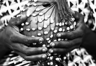 Lucía Arias Ballesteros, Axatse instrument - Ashanti Region  (Ghana, Afrika)