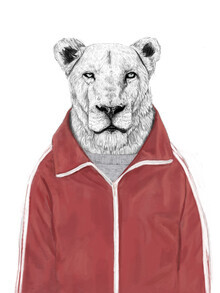 Balazs Solti, Sporty lion