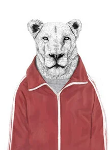Sporty lion - fotokunst von Balazs Solti