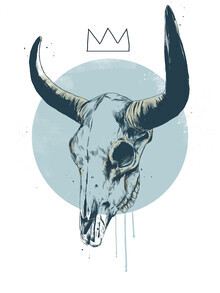 Balazs Solti, Bull skull
