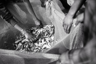 Jakob Berr, Fishermen evaluate their catch