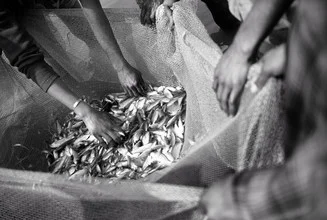 Photo art by Jakob Berr: fishermen evaluate their catch on Kuakata beach, Bangladesh.