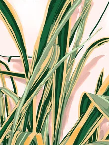 Illustration by Uma Gokhale: delicate botanical design in pastel colors