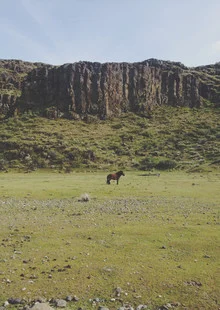 Photo art by Kevin Russ: a pony in a green field with mountains in Oregon.