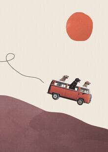 Maarten Leon, Adventure gang - Netherlands, Europe)