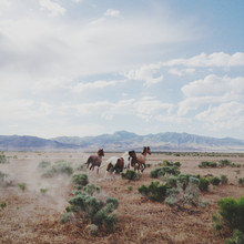 Kevin Russ, Running Free - United States, North America)