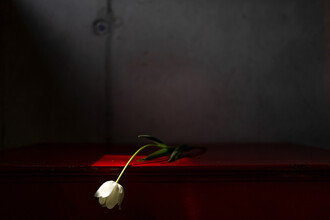 J. Daniel Hunger, Still life #2