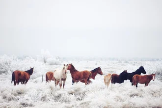 Photo art by Kevin Russ: snow-covered pasture in a serene winter landscape