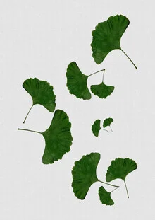 Photo art of a ginkgo leaf in soft watercolors, creating a calming atmosphere.